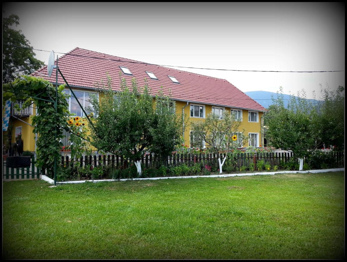 Cazare La Troita Hotel Codlea Exterior foto